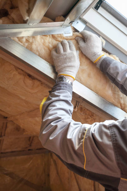 Types of Insulation We Offer in Edmonston, MD