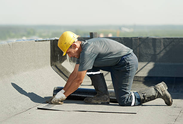 Best DIY Insulation Kits and Guidance in Edmonston, MD