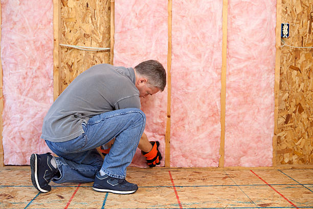 Best Commercial Insulation in Edmonston, MD